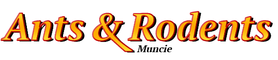 Muncie Ant Exterminator & Rodent Control Company Logo